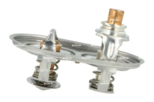 Thermostat, coolant 725393