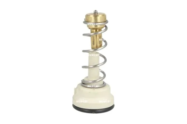 Thermostat, coolant 725204