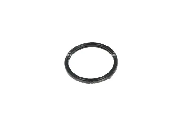 Thermostat, coolant EASY FIT 725196