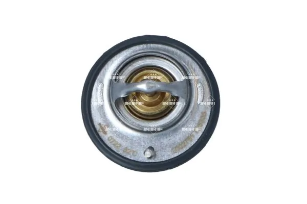 Thermostat, coolant 725305