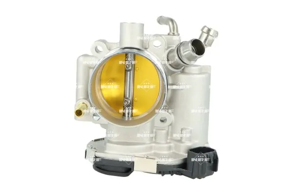 Throttle Body 408033