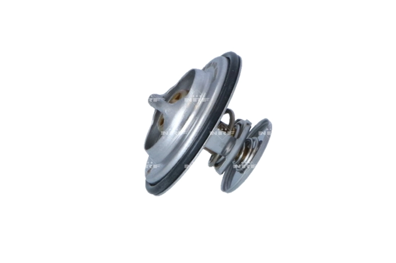 Thermostat, coolant EASY FIT 725114