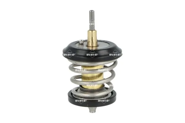 Thermostat, coolant 725250