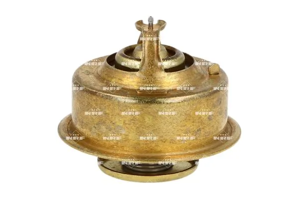 Thermostat, coolant 725267