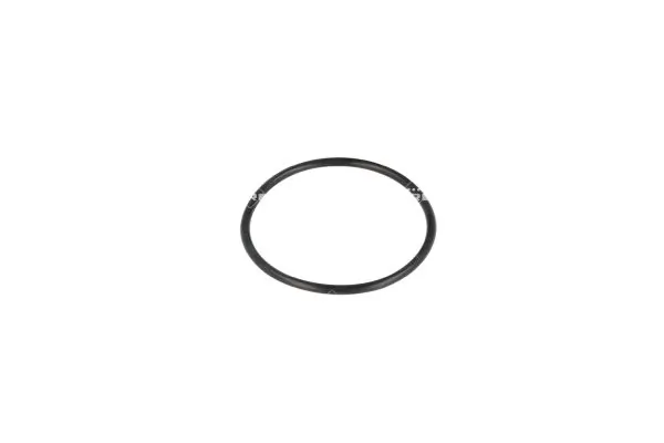 NRF 725047 Thermostat, coolant