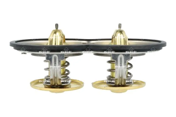 Thermostat, coolant 725374