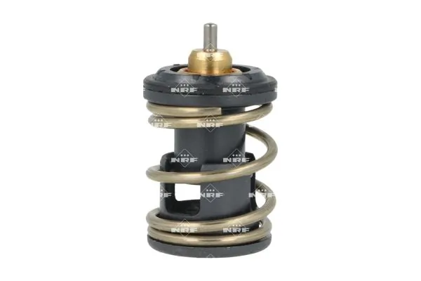 Thermostat, coolant 725391