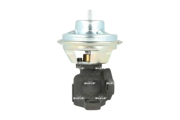 EGR Valve 48729