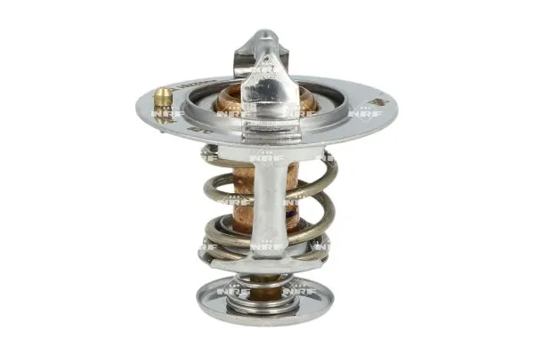 Thermostat, coolant 725119