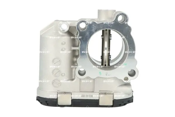 Throttle Body 408042