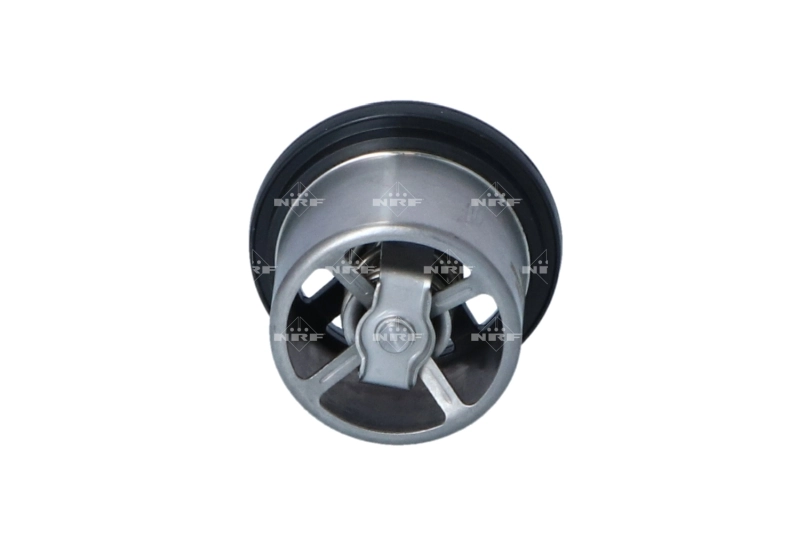 Thermostat, coolant 725099