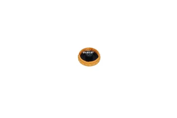 Expansion Tank, coolant EASY FIT 454075