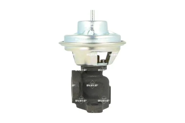 EGR Valve 48729