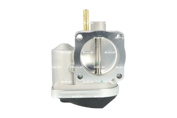 Throttle Body 408024