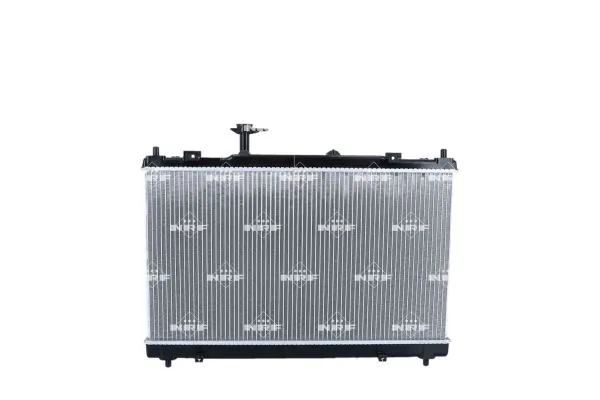Radiator, engine cooling 550059