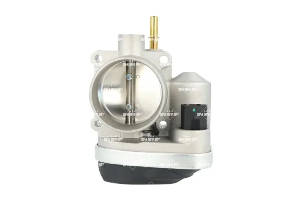 Throttle Body 408024