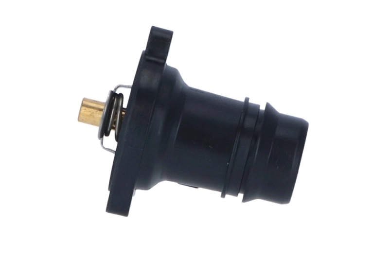 Thermostat, coolant EASY FIT 725024