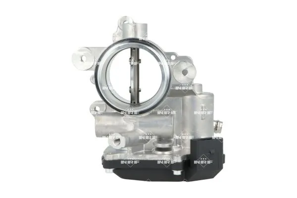 Throttle Body EASY FIT 408035