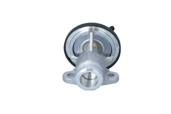 EGR Valve EASY FIT 48615