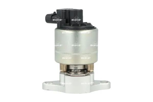 EGR Valve EASY FIT 48694