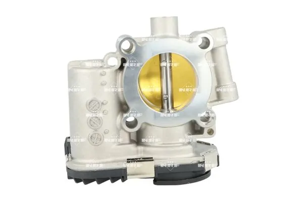 Throttle Body 408016