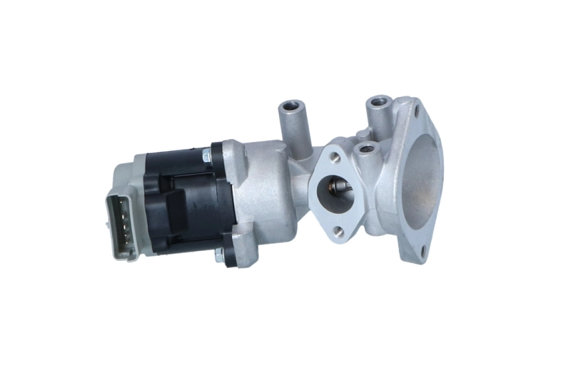 EGR Valve 48602