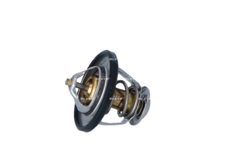 Thermostat, coolant EASY FIT 725174