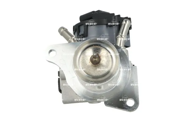 EGR Valve 48604