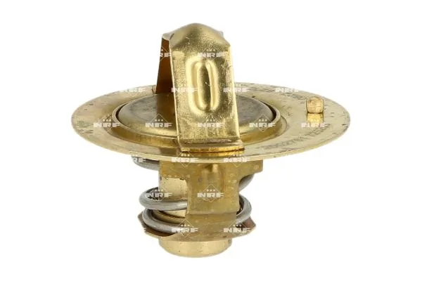 Thermostat, coolant 725259