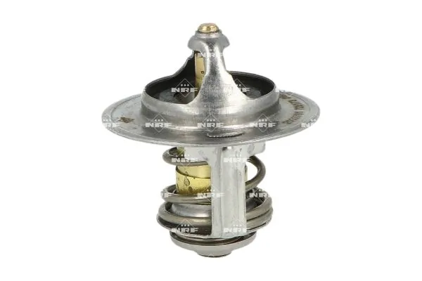 Thermostat, coolant 725173