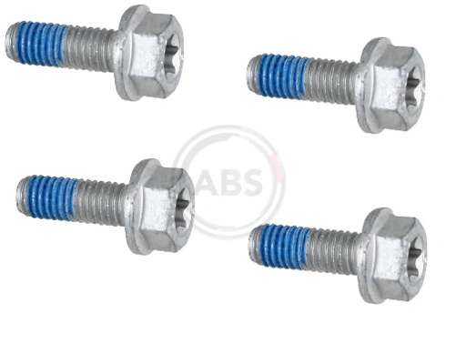 Accessory Kit, disc brake pad 2010Q