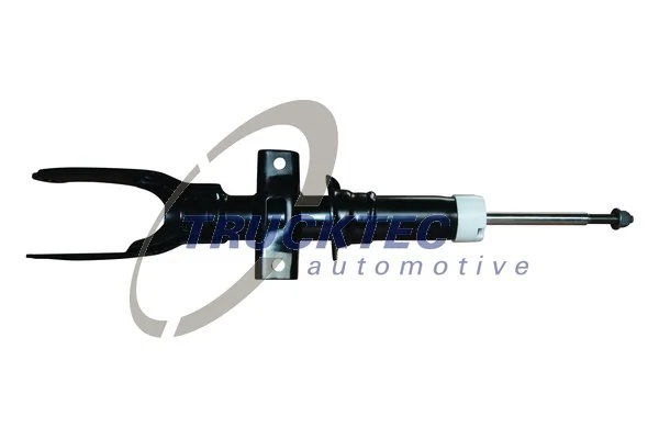 Shock Absorber 07.30.208