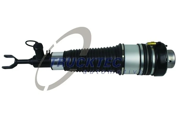 Air Suspension Strut 07.30.059