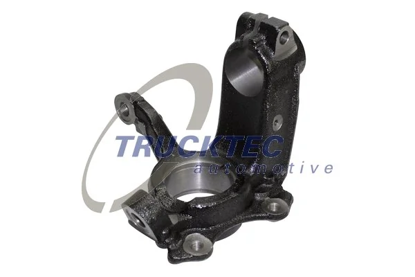 Steering Knuckle, wheel suspension 07.31.290
