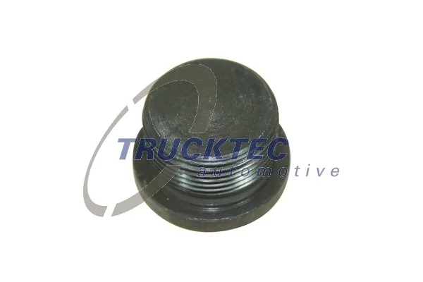 Screw Plug, axle drive 01.67.056