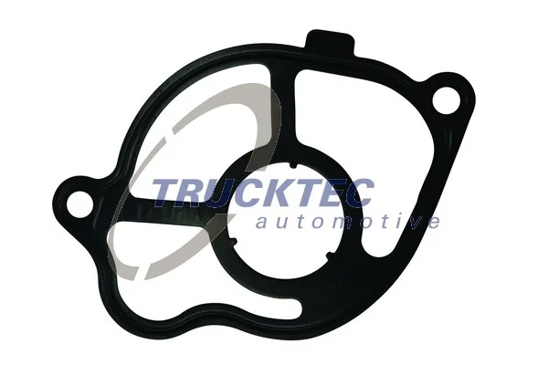 Gasket, vacuum pump 02.21.009