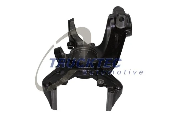Steering Knuckle, wheel suspension 07.31.302