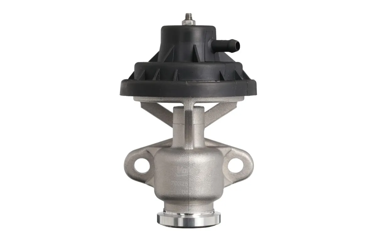 EGR Valve 703257