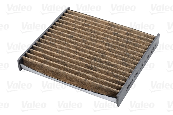 Filter, cabin air VALEO PROTECT MAX 701021