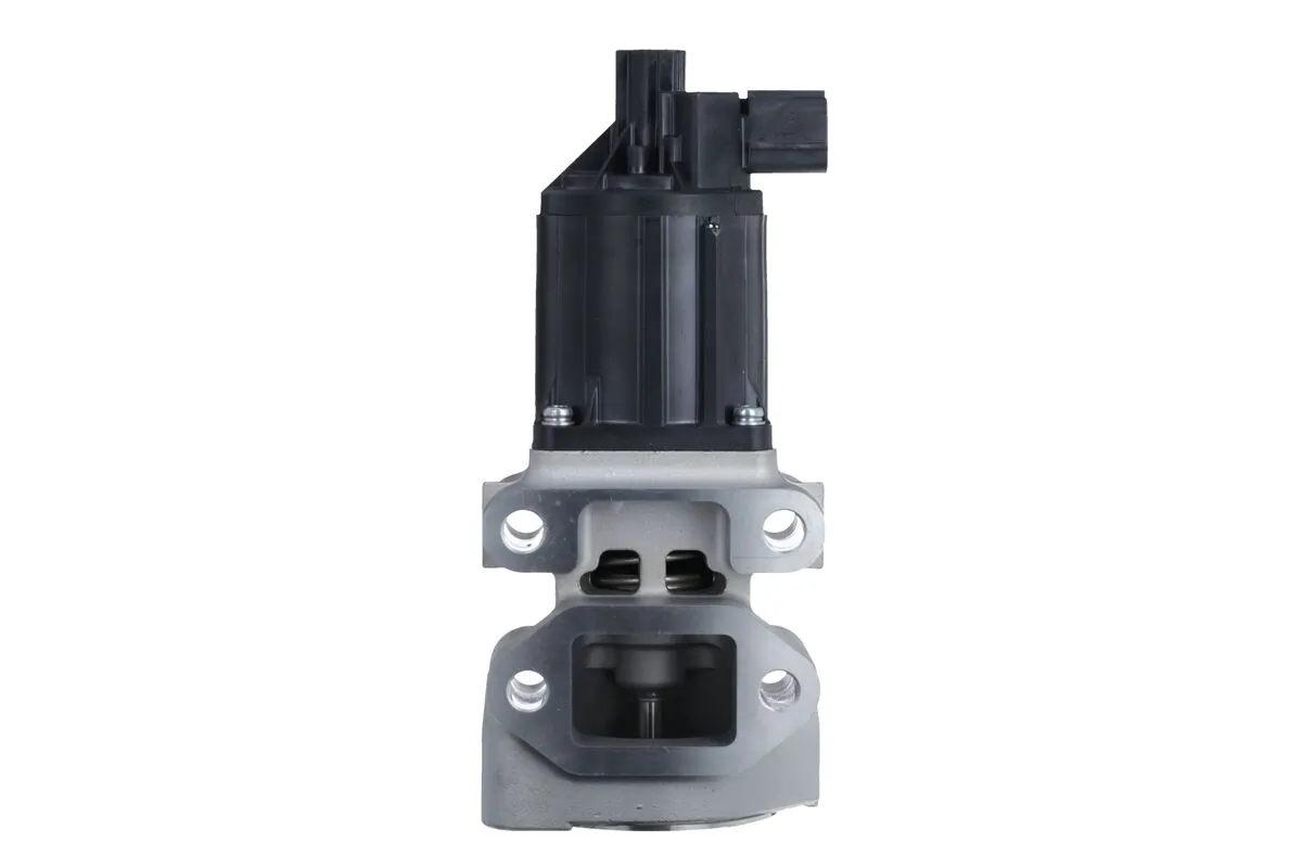 EGR Valve 703213