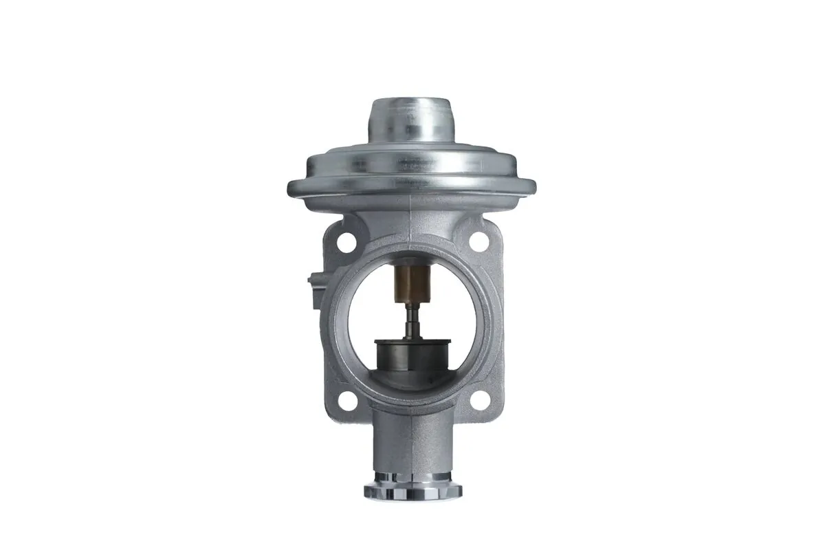 EGR Valve 703269