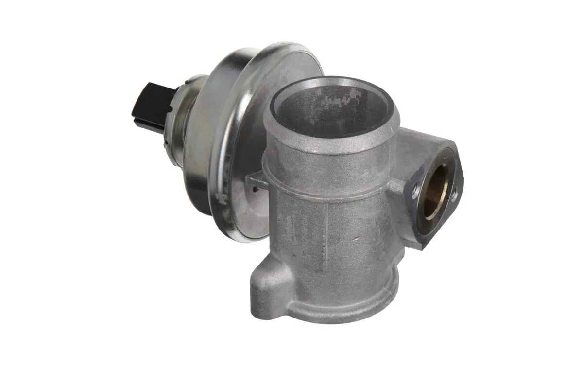 EGR Valve 703256