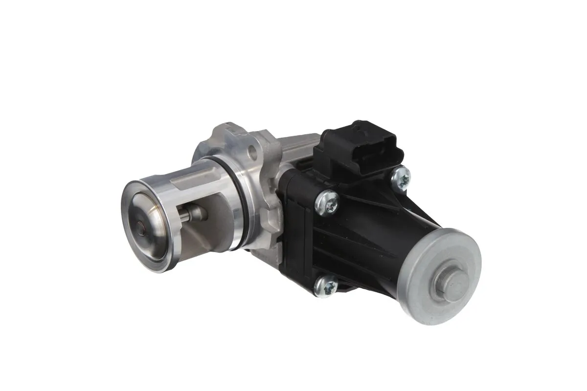 EGR Valve 703201