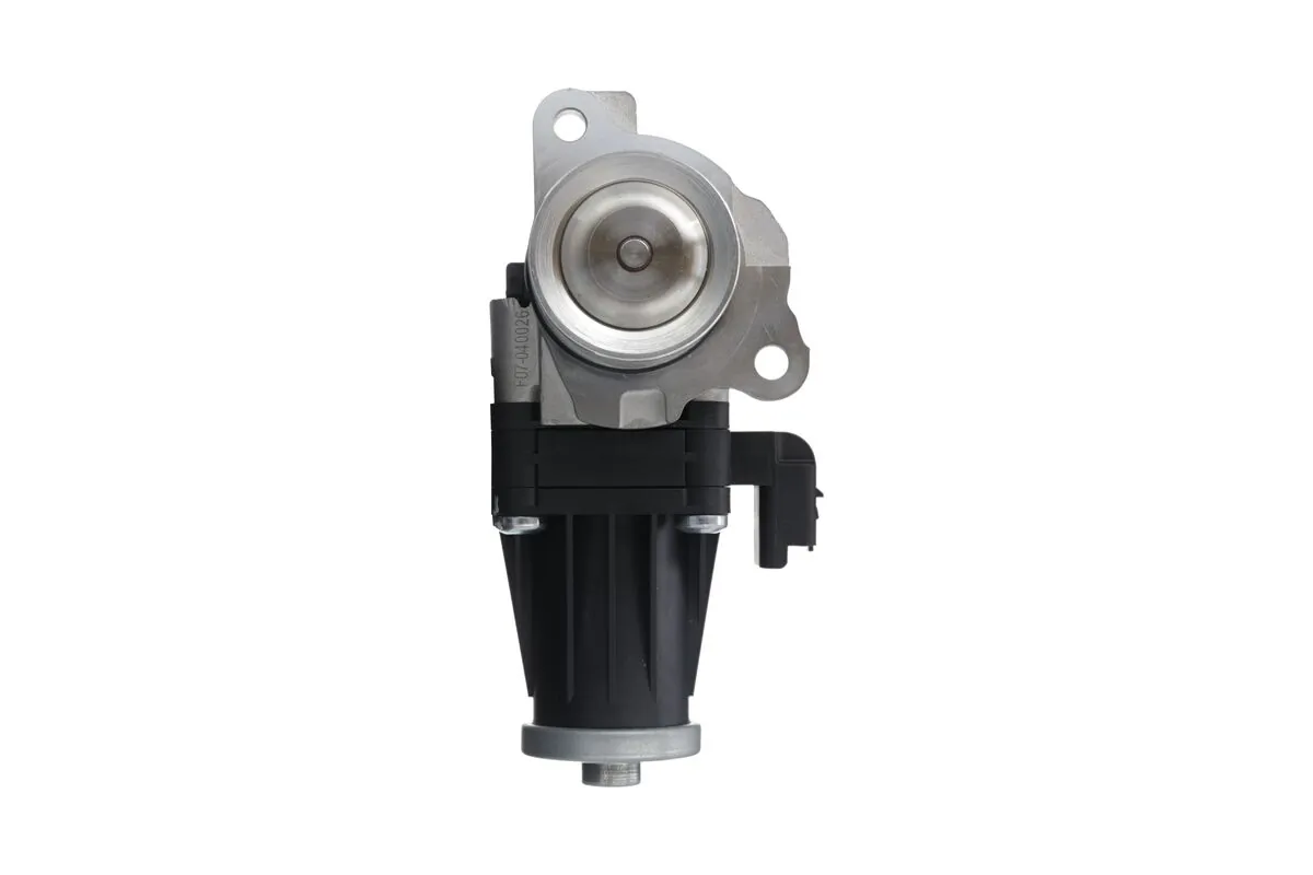 EGR Valve 703201