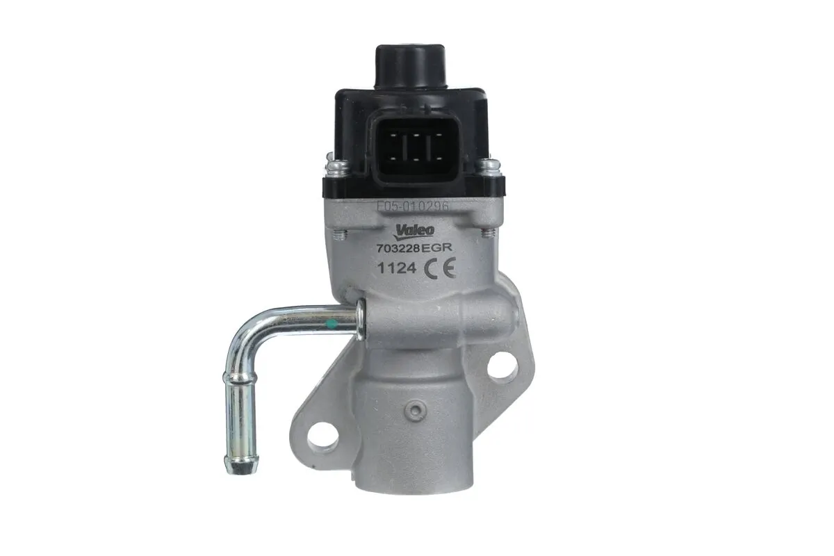 EGR Valve 703228