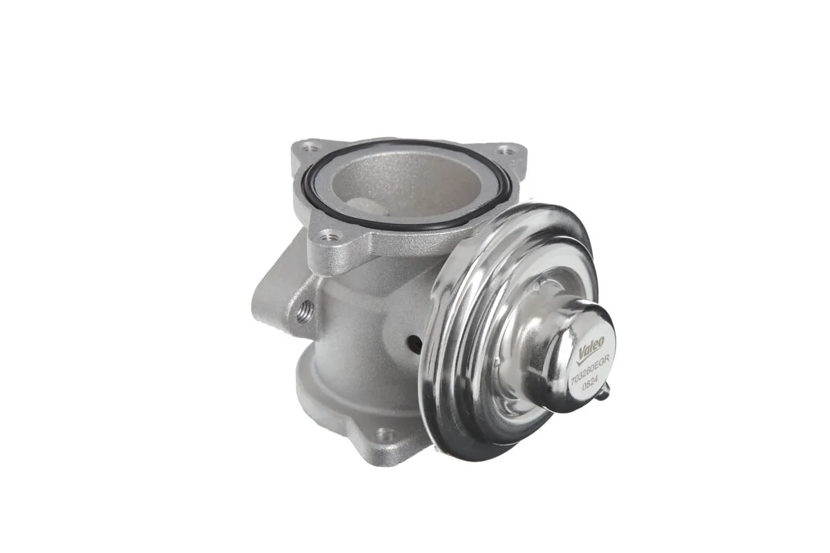 EGR Valve 703260