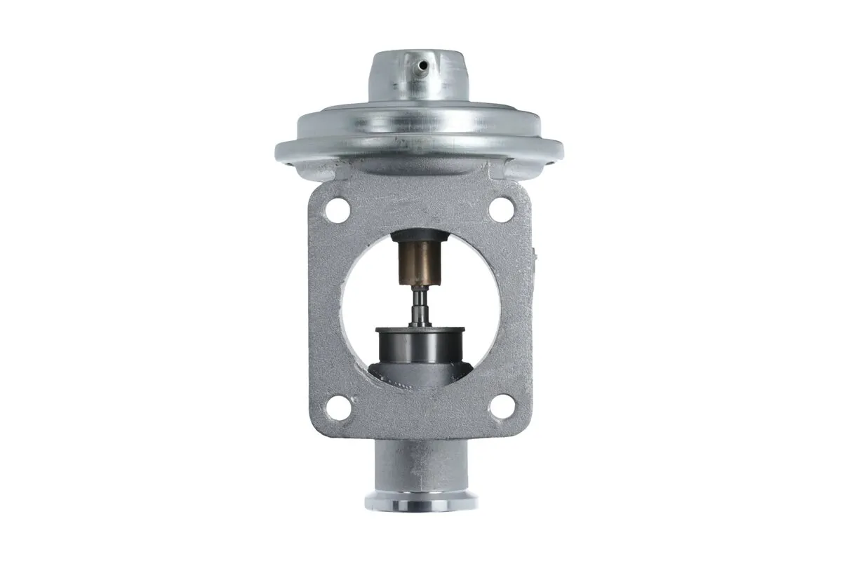 EGR Valve 703239