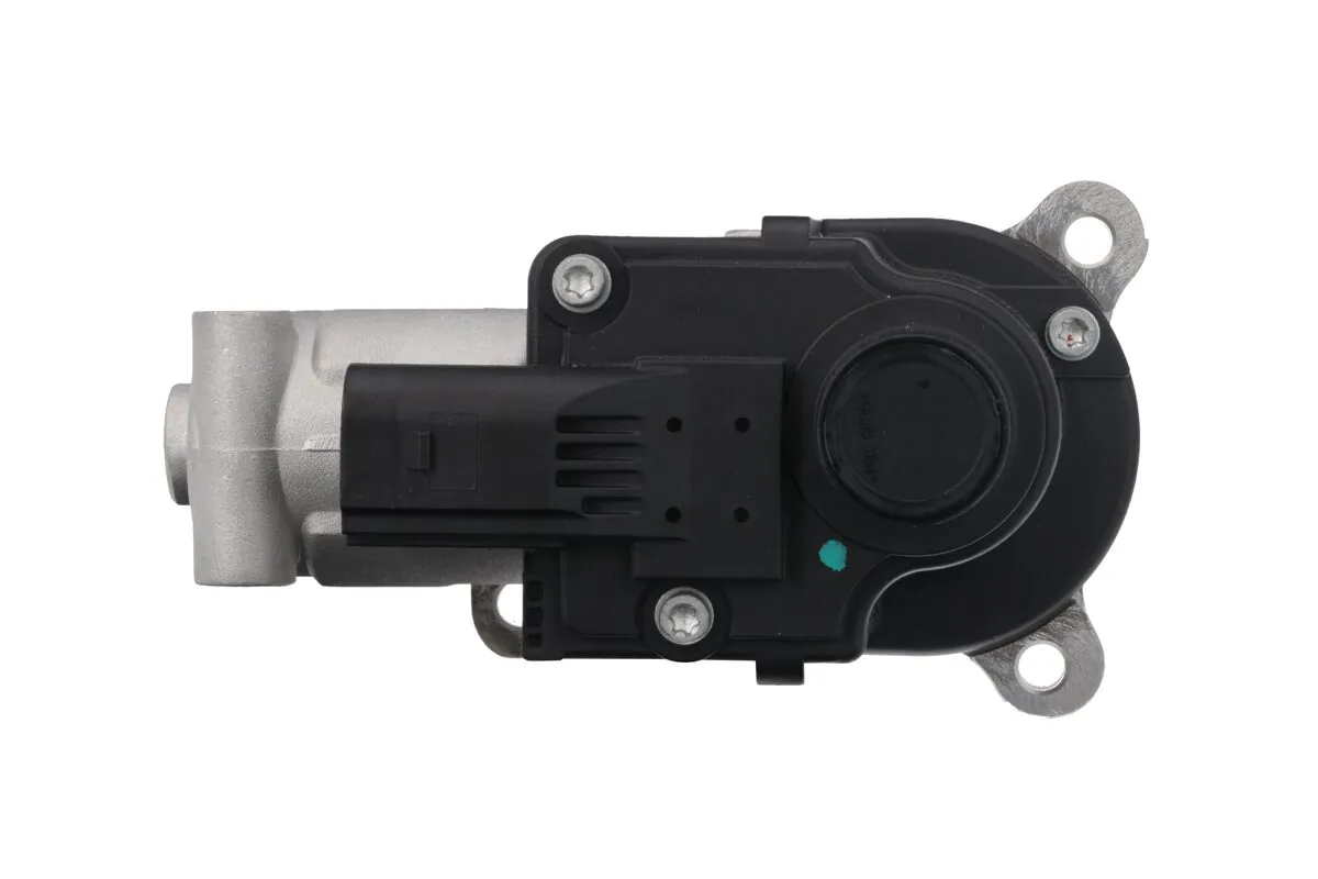 EGR Valve 703206