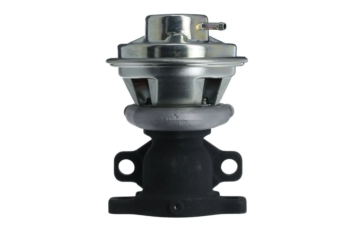 EGR Valve 703241