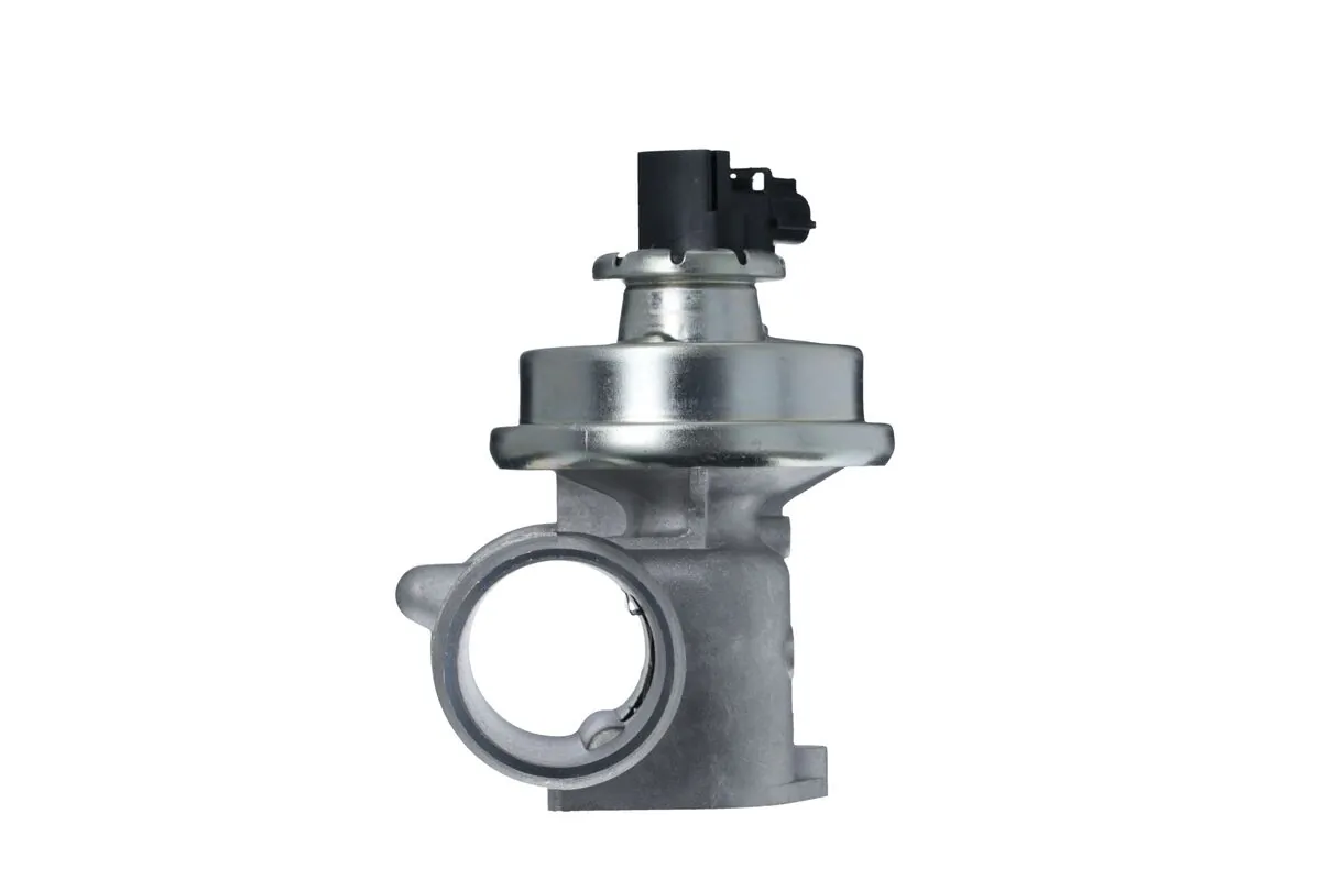 EGR Valve 703256